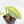 Philodendron 'Silver Sword' Variegated (wk18-E)