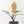 Philodendron Erubescens 'Skittles' ('White Knight Quadricolor') (wk42-U173)