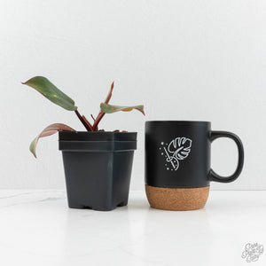 Philodendron Erubescens 'Skittles' ('White Knight Quadricolor') (wk17-UI)