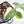 Philodendron Sodiroi Albo Variegated (wk16-E)