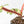 Philodendron Squamiferum Variegated (wk17-UG)