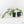 Philodendron Squamiferum Variegated (wk17-UG)