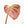 Philodendron Verrucosum 'Amazon Sunset' (wk20-B)