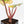 Philodendron Erubescens 'White Knight Aurea' (wk29-G)
