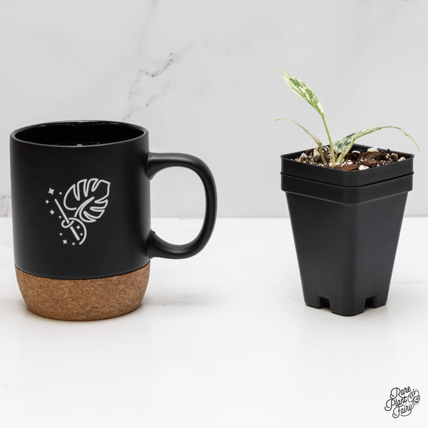 Philodendron 'Emerald King' (wk5-E)