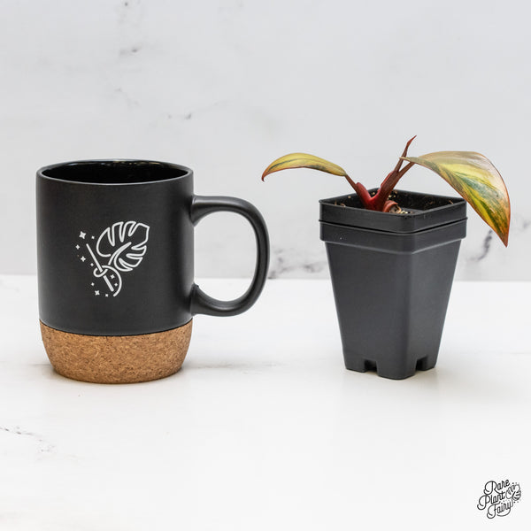 Philodendron 'Princess of Fire' (wk51-N)