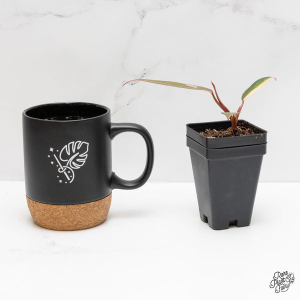 Philodendron 'Princess of Fire' (wk2-D)