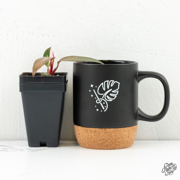 Philodendron 'Princess of Fire' (w6-C)