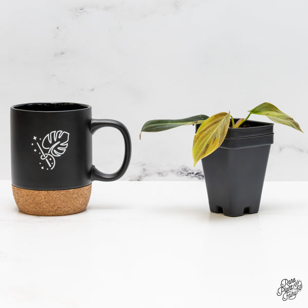 Philodendron gigas variegated (wk50-UO)