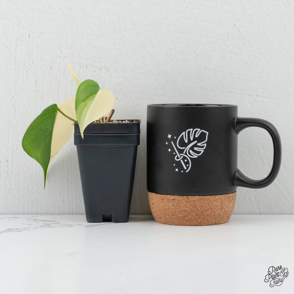 Philodendron Hederaceum Albo Variegated Heartleaf (wk3-B)