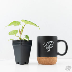 Philodendron verrucosum x serpens *Grower's Choice*