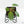 Philodendron Spiritus Sancti *Grower's Choice*