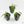 Philodendron Spiritus Sancti *Grower's Choice*
