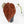 Anthurium Purple Rain '27' x Red Velvet Cake '24' by DocBlock® (wk30-B)