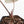 Anthurium Red Velvet Cake '24' x Dark & Handsome '9' by DocBlock®  (wk35-L94)
