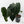 Anthurium Black Widow '43' x Red Velvet Cake '24' x Black Widow '43' by DocBlock (wk40-L334)