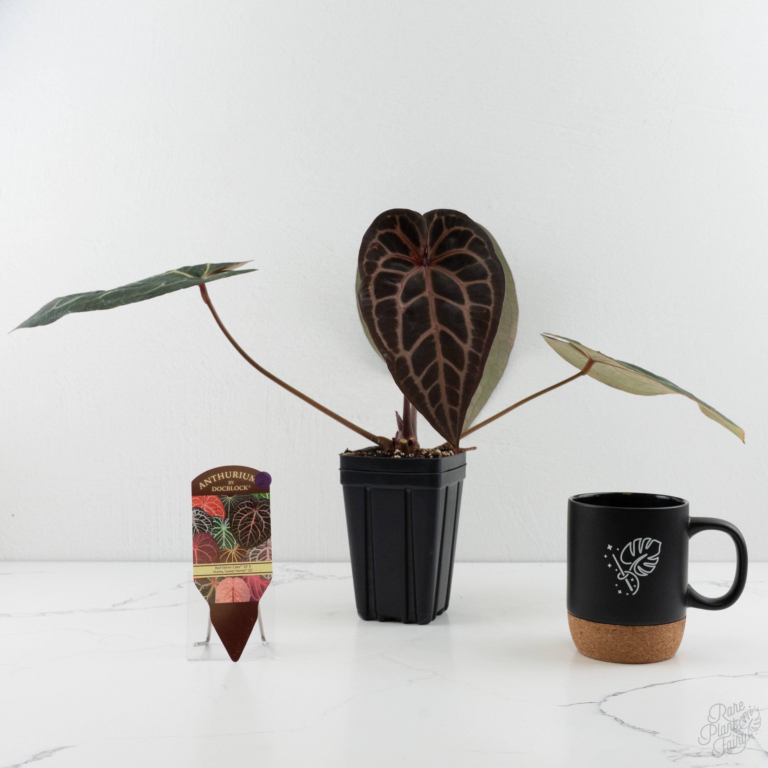 Anthurium Red Velvet Cake '24' x Home, Sweet Home '32' by DocBlock