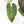 Anthurium Red Velvet Cake '24' x Zara '9' by DocBlock® (wk21-E)