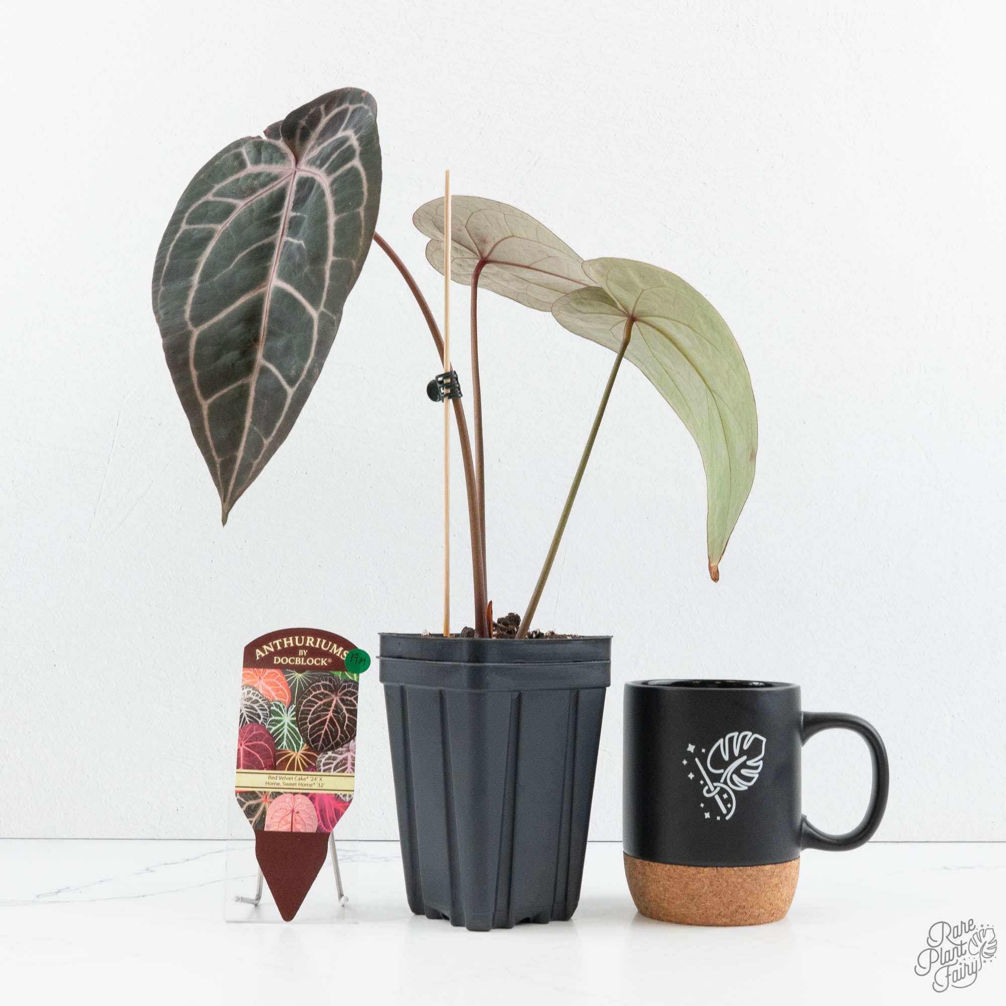 Anthurium Red Velvet Cake '24' x Home, Sweet Home '32' by DocBlock
