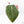 Anthurium Red Velvet Cake '24' x Home, Sweet Home '32' by DocBlock® (wk21-W)