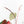 Variegated Anthurium Red Velvet Cake '24' x Zara '29' by DocBlock® (wk24-UI)