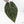 Variegated Anthurium Red Velvet Cake '24' x Zara '29' by DocBlock® (wk26-E)