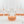 RPF Labs Rooting Media (12 count)