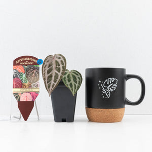 Anthurium Tortoise Shell Grey '36' x self by DocBlock® (wk30-UI)