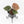 Anthurium Tortoise Shell Grey '36' x self by DocBlock® (wk33-U32)