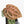 Anthurium Tortoise Shell Grey '36' x self by DocBlock® (wk33-U32)
