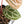 Anthurium Tortoise Shell Grey '36' x self by DocBlock® (wk33-U32)