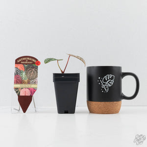 Anthurium Tortoise Shell Grey '36' x self by DocBlock (wk38-U141)