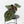 Anthurium Tortoise Shell Grey '36' x self by DocBlock (wk40-U32)
