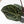 Anthurium Thor's Lightning '51' x Michelle '10' by DocBlock (wk40-L332)