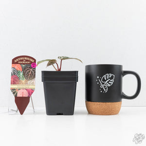 Anthurium Tortoise Shell Grey '36' x self by DocBlock® (wk29-K)