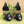 Greenfit™ Kit (Vita 4-Pack)