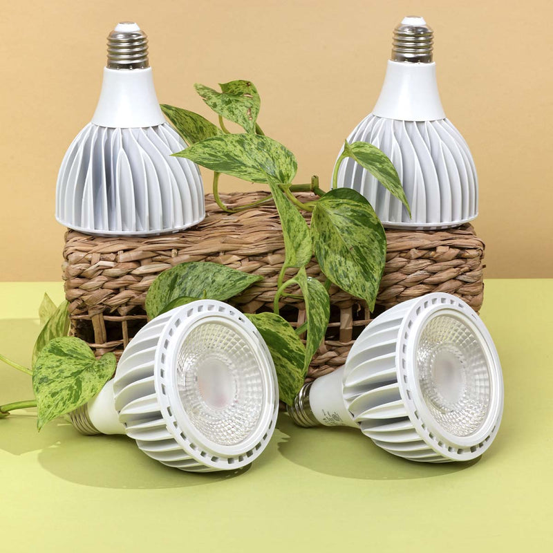 Greenfit™ Kit (Vita 4-Pack)