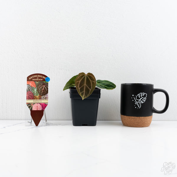 Anthurium Black Widow '43' x Zara '14' by DocBlock® (wk7-V)