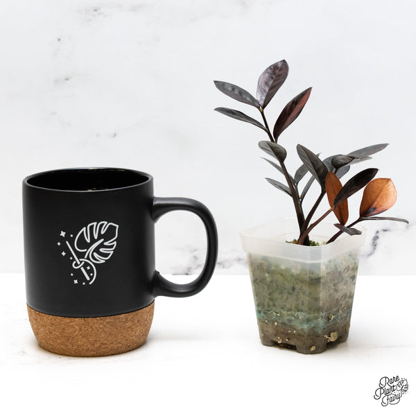 Zamioculcas Zamiifolia "Raven ZZ" Pink Variegated (wk51-UN)