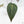 Anthurium Zara '29' x Dark and Handsome '9' by DocBlock® (wk19-Z)
