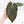 Anthurium  Zara '29' x  Dark and Handsome '9' by DocBlock® (wk23-J)