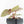 Anthurium Zara '29' × (Michelle® x Zara '28') byDocBlock® (wk19-J)