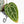 Anthurium Zara '29' × (Michelle® x Zara '28') byDocBlock® (wk29-H)