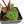 Anthurium Zara '29' × (Michelle® x Zara '28') byDocBlock® (wk25-C)