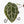 Anthurium Zara '31' x Tortoise Shell Grey '36' by DocBlock® (wk34-L51)