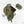 Anthurium Zara '31' x Tortoise Shell Grey '36' by DocBlock® (wk27-J)
