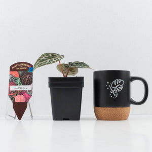 Anthurium Zara '31' x Tortoise Shell Grey '36' by DocBlock® (wk23-UB)