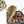 Anthurium Zara '31' x Tortoise Shell Grey '36' by DocBlock® (wk35-L209)