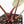 Anthurium Zara '31' x Zara '14' by DocBlock® (wk25-J)
