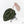 Anthurium Zara '31' x Zara '14' by DocBlock® (wk29-I)